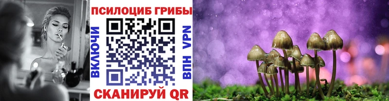 Псилоцибиновые грибы Psilocybine cubensis  это телеграм  Анива 